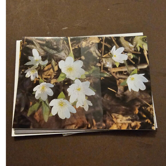 Lot of 5 Current Brand Vintage Greeting Cards W Envelope Vintage Stationery(Gg14 - Picture 2 of 6